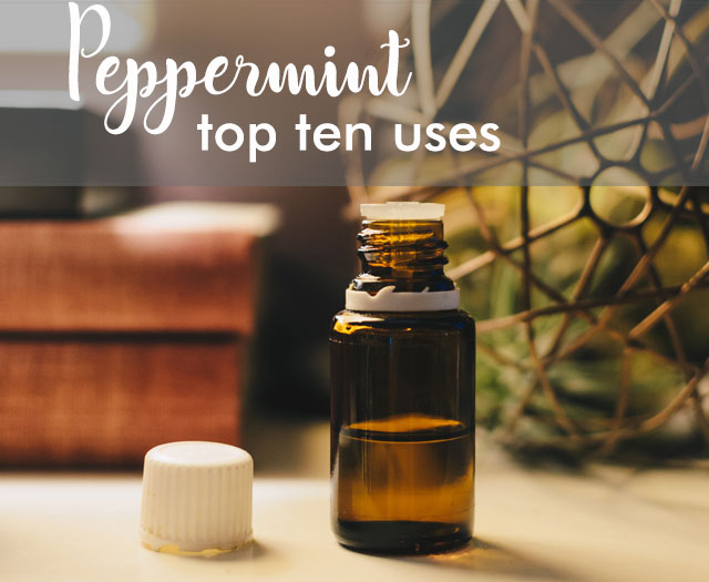 The Benefits of Peppermint Essential Oil and it’s Top 10 Uses