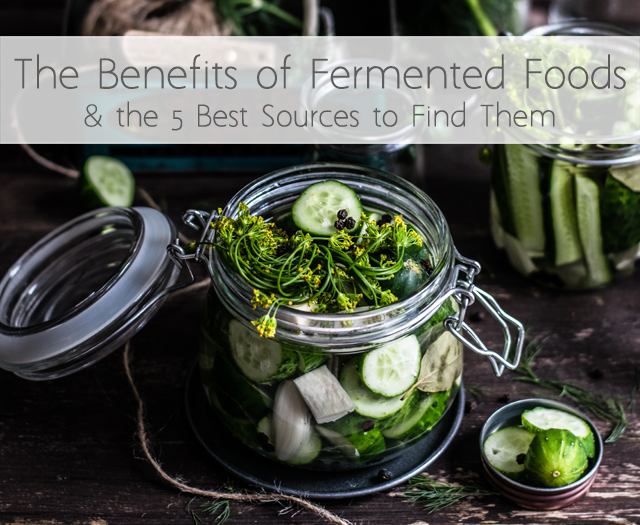 The Benefits of Fermented Foods and the 5 Best Sources to Find Them